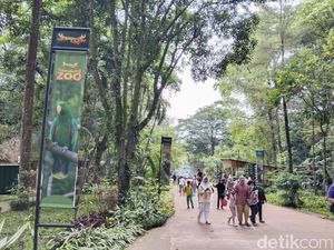 Bandung Zoo Bersolek Jelang Libur Akhir Tahun 2024 Bandung Zoo Bersolek Jelang Libur Akhir Tahun 2024