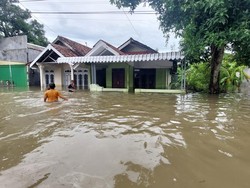 Avur Watudakon Meluap, 950 Rumah di 3 Desa Jombang Terendam Banjir