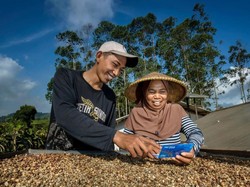 Top! Penyaluran KUR BRI Tembus Rp 175,66 Triliun