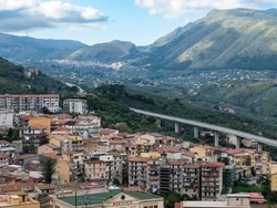 Cerita Kepala Kuda dan Sapi Bunting dari Aksi Barbar Mafia di Sisilia