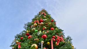 7 Tradisi Natal Unik di Dunia, Ada Pohon Natal dari Pohon Mangga