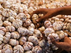 Kejagung Ungkap Sederet Masalah yang Bikin Harga Bawang Putih Sulit Turun