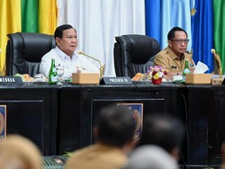 Puji Rakor Mingguan Pengendalian Inflasi, Prabowo Minta Kemendagri Lanjutkan