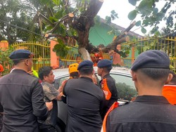 5 Pohon Tumbang di Parepare Akibat Angin Kencang, 1 Mobil Tertimpa