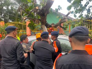 5 Pohon Tumbang di Parepare Akibat Angin Kencang, 1 Mobil Tertimpa 5 Pohon Tumbang di Parepare Akibat Angin Kencang, 1 Mobil Tertimpa