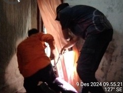 3 Kasus Ular Masuk Rumah di Lubuklinggau dalam Sehari, Dipicu Musim Hujan