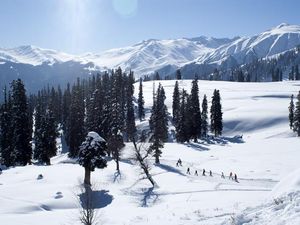 Salju Turun di Wilayah India, Operator Wisata Gembira Salju Turun di Wilayah India, Operator Wisata Gembira