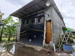 Kasus Suami Bunuh Istri Bantul, Polisi Sebut Keduanya Kerap Cekcok