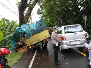 Hindari Tabrakan, Truk Muat Jagung Tabrak Pohon di Jalan Denpasar-Gilimanuk Hindari Tabrakan, Truk Muat Jagung Tabrak Pohon di Jalan Denpasar-Gilimanuk