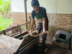 3 Ular Sanca Ditangkap Warga Cilongok Banyumas, Ada yang Kepergok di Warung