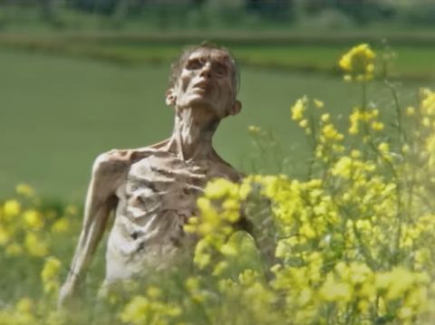 Film 28 Years Later (2025). (Sony Pictures)