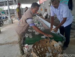 Kawasan Tropis Masa Depan yang Inklusif