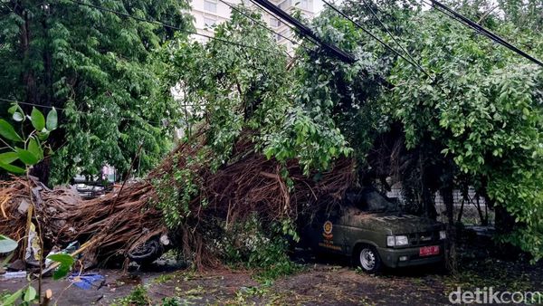 Mobil Satpol PP Surabaya Ringsek Tertimpa Pohon Beringin