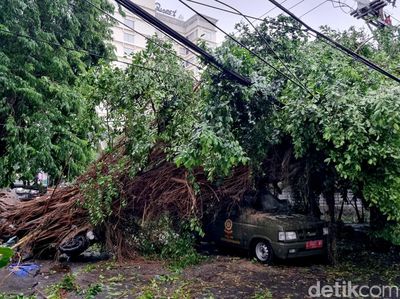 Mobil Satpol PP Surabaya Ringsek Tertimpa Pohon Beringin