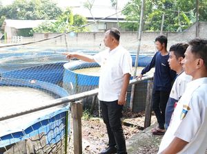 Pemkab Sebut Potensi Ekonomi Ikan Lele Kediri Sangat Besar