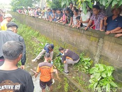 Video: Geger Penemuan Mayat Pria di Saluran Irigasi Jembrana, Polisi Selidiki