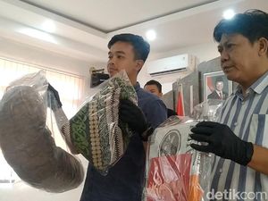 Kejinya Siswa SMK di Pemalang Perkosa dan Bunuh Bocah, Jasad Dimasukkan Karung Kejinya Siswa SMK di Pemalang Perkosa dan Bunuh Bocah, Jasad Dimasukkan Karung