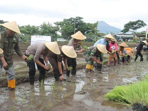 Gandeng Swasta-Gapoktan, Polres Mojokerto Tanam Padi di Lahan 128 Ha Gandeng Swasta-Gapoktan, Polres Mojokerto Tanam Padi di Lahan 128 Ha
