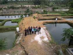 BAKTI Kasih Penyuluhan Buat Pembudidaya Tambak, Hal Ini yang Ditempa