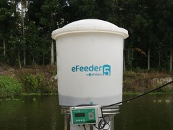 Di Bawah Kepemimpinan Baru, eFishery Pastikan Tidak Punya Utang Bank