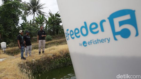 Intip Digitalisasi Sektor Perikanan di Lampung Selatan