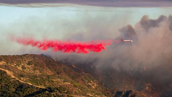 Kebakaran Hutan di Malibu California Merembet ke Rumah Warga