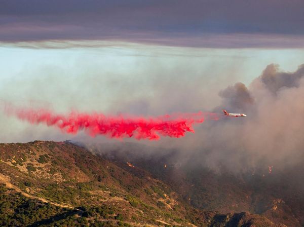 Kebakaran Hutan di Malibu California Merembet ke Rumah Warga