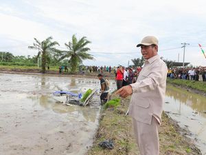 Tinjau Sawah di Sumut, Mentan Pastikan Program Swasembada Berjalan Lancar