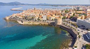 The Art of Baking: From Classic Bread to Artisan Pastries