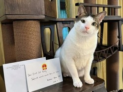 First Cat Bobby Kertanegara Dapat Mainan dari Kedubes China, Ini Bentuknya