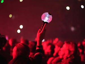 Ini yang Terjadi pada Paru-paru Remaja gegara Teriak Keras saat Nonton Konser Ini yang Terjadi pada Paru-paru Remaja gegara Teriak Keras saat Nonton Konser