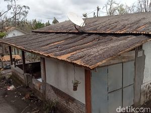 Warga Nawakote Nekat Bersihkan Rumah di Zona Larangan Gunung Lewotobi Warga Nawakote Nekat Bersihkan Rumah di Zona Larangan Gunung Lewotobi