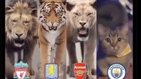 Man City diledek kini seperti kucing kecil di antara singa dan harimau Liga Inggris. Foto: dok. Internet/X (Twitter)