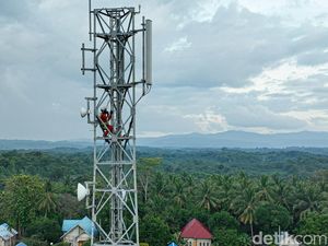 Peran Penting Konektivitas Digital untuk Dorong Sektor Pertanian
