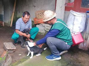 2.697 Warga Karangasem Digigit Anjing, 68 Orang Positif Rabies 2.697 Warga Karangasem Digigit Anjing, 68 Orang Positif Rabies