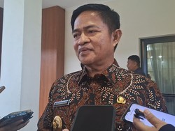 Dubes Prancis Bakal Beri Bantuan Pelestarian Hiu Paus di Teluk Saleh