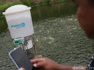 Begini IoT yang Diberi BAKTI untuk Pembudidaya Tambak di Lampung Begini IoT yang Diberi BAKTI untuk Pembudidaya Tambak di Lampung