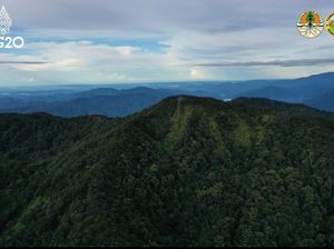 Taman Nasional Kerinci Seblat: Sejarah, Potensi Wisata Alam, dan Flora-Fauna Taman Nasional Kerinci Seblat: Sejarah, Potensi Wisata Alam, dan Flora-Fauna