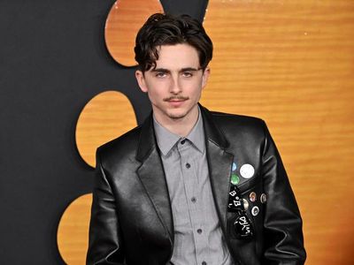 7 Penampilan Beda Timothee Chalamet Berkumis Tipis, dari Boyish Kini Dewasa