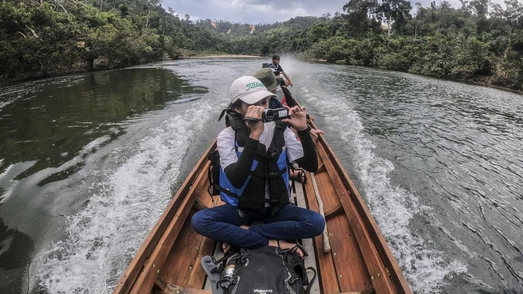 Piyau Jadi Transportasi Utama Kawasan Suaka Margasatwa Bukit Rimbang Bukit Baling Piyau Jadi Transportasi Utama Kawasan Suaka Margasatwa Bukit Rimbang Bukit Baling