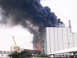 Kebakaran di Gresik Ternyata Dialami Pabrik NPK Petrokimia