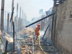 Kandang di Blitar Terbakar, 5.000 Ayam Mati Terpanggang