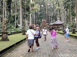 Objek Wisata Sangeh Buka-Tutup Antisipasi Cuaca Ekstrem