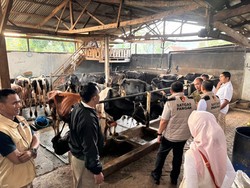 Satgas Pangan Polri Awasi Industri Olah Susu Segar di Jateng dan Jatim