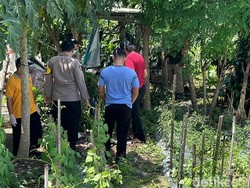 Kondisi Terkini Sekeluarga di Kediri Coba Bunuh Diri gegara Pinjol