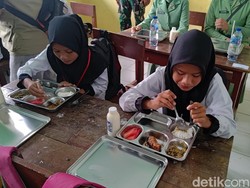 Pengusaha Usul Ikan Masuk Menu MBG, Budget Rp 10.000 Cukup?