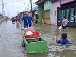 Warga Jakut Kalang Kabut Dihantui Banjir Air Pasang