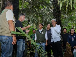 Menhut Siapkan Kawasan Hutan untuk Bioethanol