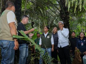 Menhut Siapkan Kawasan Hutan untuk Bioethanol Menhut Siapkan Kawasan Hutan untuk Bioethanol