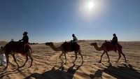 Potret Safari di Abu Dhabi: Naik Unta & Kebut-kebutan Mobil Offroad
